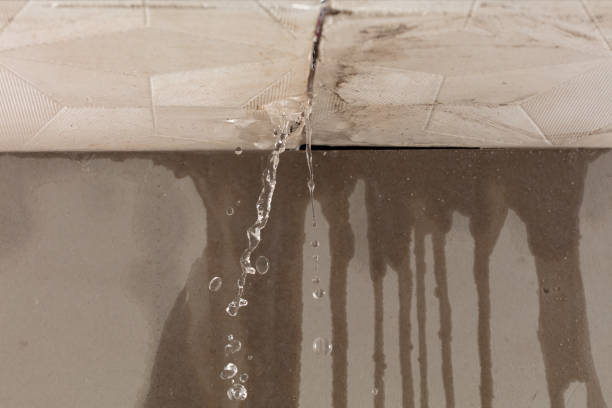 Professional Water Damage Repair technician working in Sheffield Lake, OH